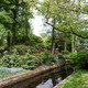 Keukenhof  - japoński ogród