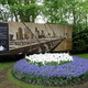 Keukenhof 