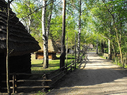 Radom skansen