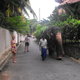 Sri Lanka 2008