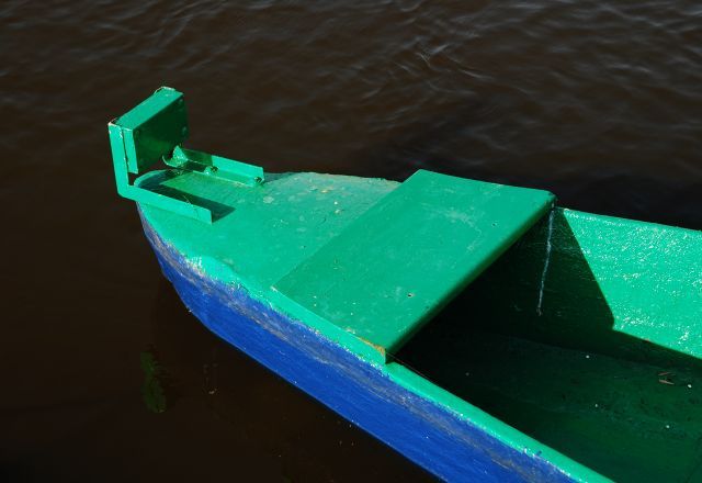 łódka krokodyl