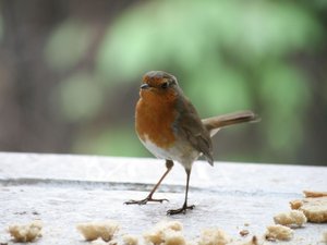 img_9088