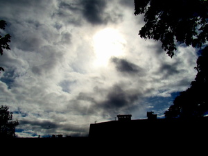 Dsc03326