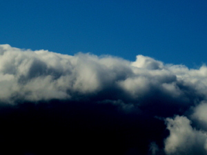 Dsc03321