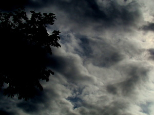 Dsc03320