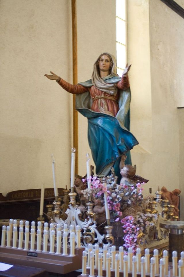 Img 2761