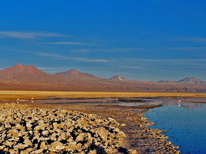 Salar de Atacama, Chile 