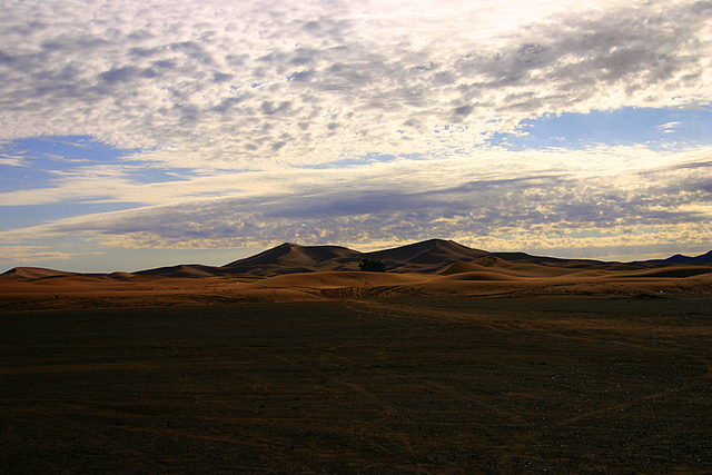 Merzuga Dunes