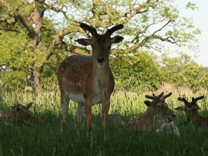 img_0040