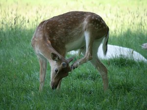 img_0001