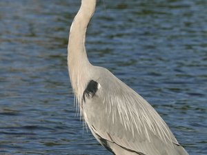 img_0144