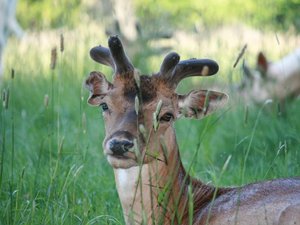 img_0013