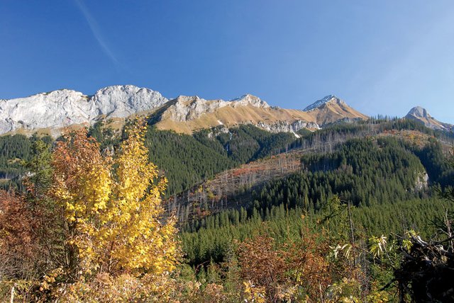 Jaworowa Dolina