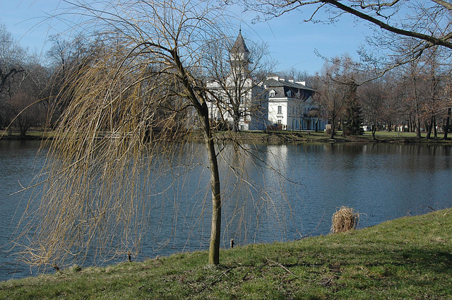 Park i staw w Radziejowicach (w tle pałac)