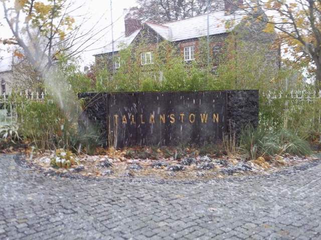 Tallanstown013