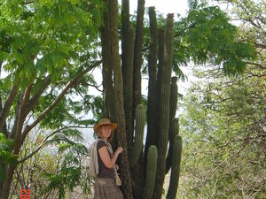 Monte Alban