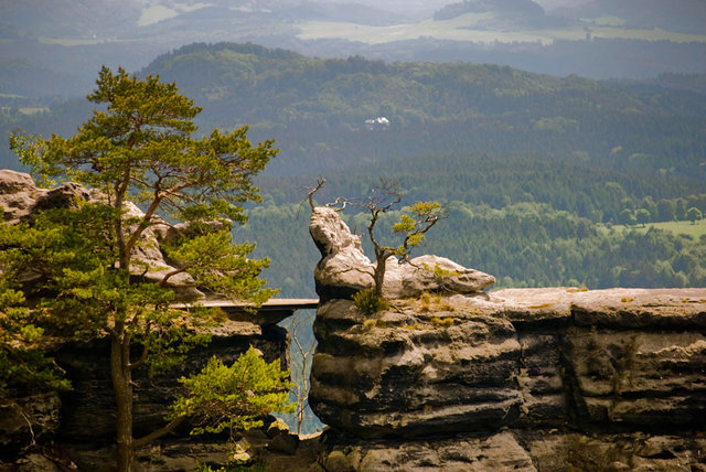 Widok z tarasu
