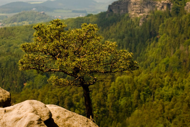 Widok z tarasu