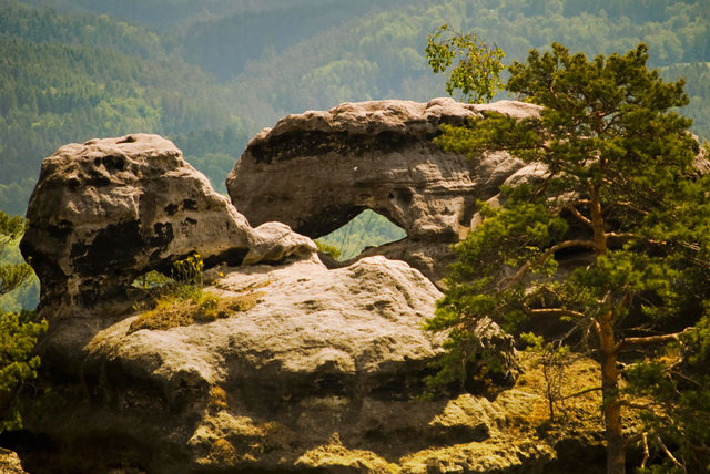 Widok z tarasu