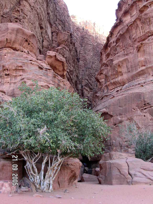 Wadi Rum