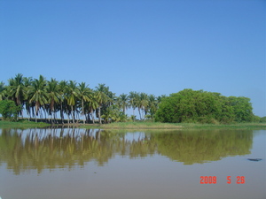 Laguna Manialtepec