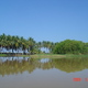 Laguna Manialtepec