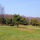 Park im.R.Reagana,Gdańsk-Przymorze.