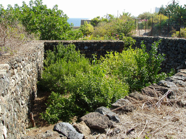 skrawek ogródka chroniony kamiennym murem