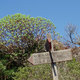 drogowskaz na Montagna Grande