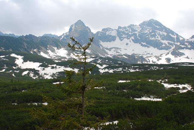 Tatry maj 2009