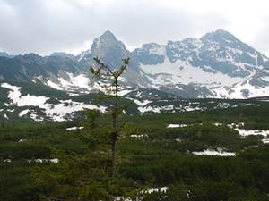 Tatry maj 2009