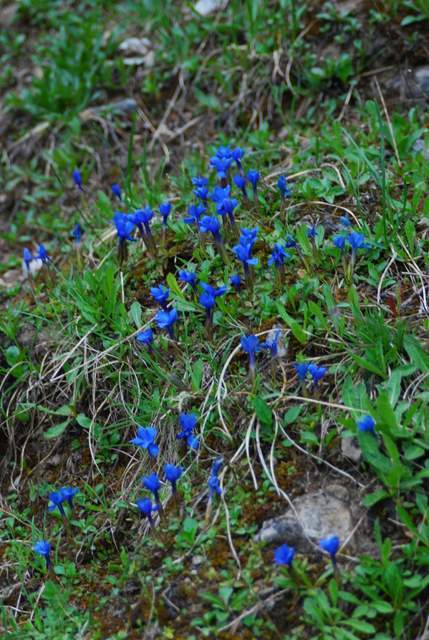 Tatry maj 2009