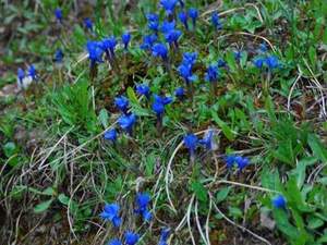 Tatry maj 2009