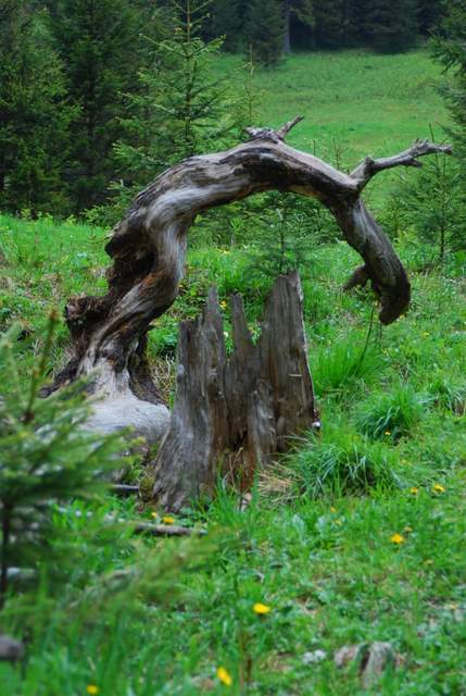 Tatry maj 2009