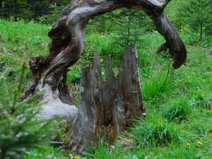 Tatry maj 2009