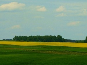 Mazurska panorama 'rzepakowa'