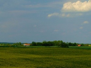 Mazurska panorama 'rzepakowa'