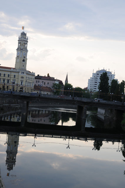 Dsc 2009
