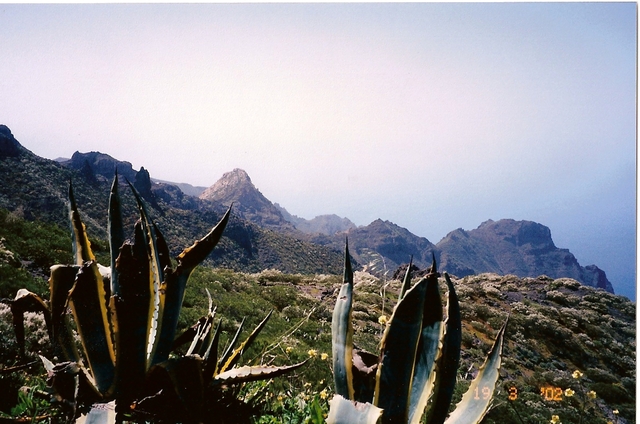 U stóp Teide