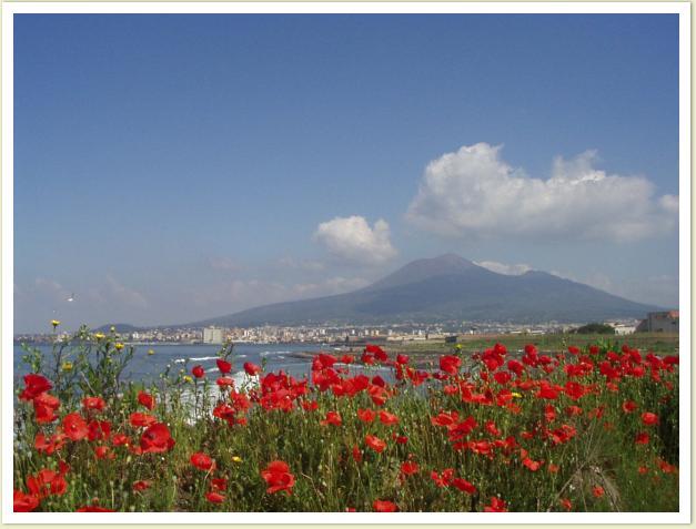 Il Vesuvio i czerwone kwiaty