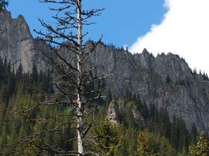 Tatry maj 2009