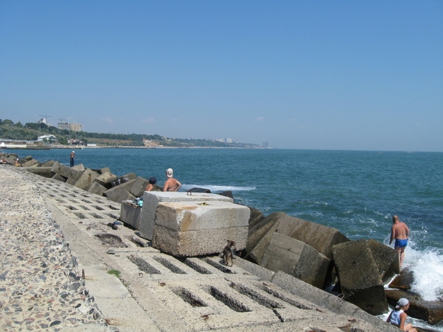 Odessa