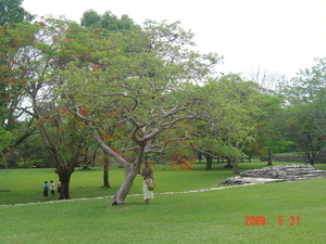 Palenque