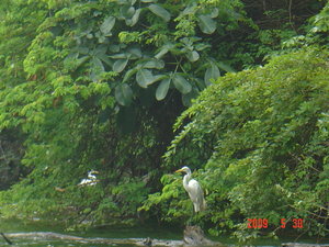 Kanion Sumidero