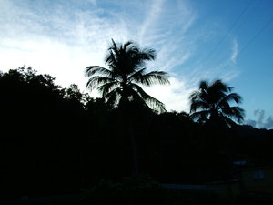 Dcf00025
