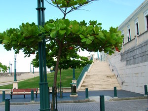 Dcf00040
