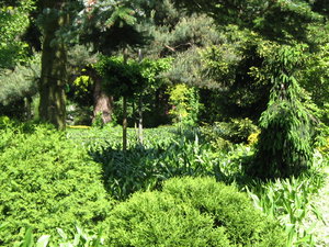 ogród botaniczny