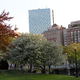 Boston 2009