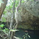 Tulum - Grand cenote