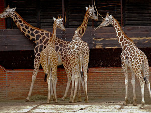 Zoo Liberec 